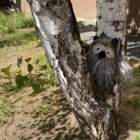 ��������� � ������ �� ������������� ����� ��� ������ �����