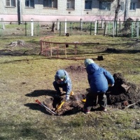 Всем хотелось чтобы территория детского сада была чистой и красивой