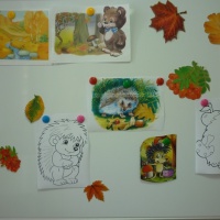 Проект во второй младшей группе «Зачем ежу иголки?»