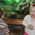 Двигательная активность детей посредством посещения зоопарка г. Ростова-на-Дону