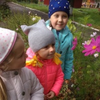 Фотоотчет «Осенняя прогулка. Наблюдение за насекомыми с детьми старшей группы»