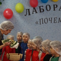 Фотоотчет об опытно-экспериментальной деятельности «Секрет картофеля» для детей старшей группы