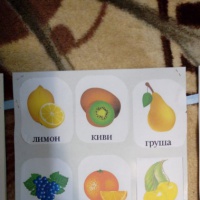 С помощью данного лэпбука дети смогут познакомиться со всеми видами фруктов овощей и ягод