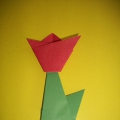 Мастер-класс. Оригами «Тюльпан»
