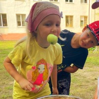 ������������ ��� ������������ ���������-�������� � ��������� �����