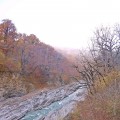 Как сделать лэпбук осень