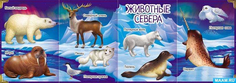 Календарь праздников на маам в детском Маам праздники на каждый день