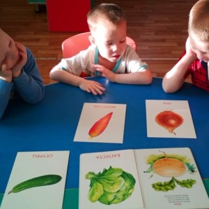 Конспект НОД по развитию речи во второй младшей группе «Что выросло на огороде»