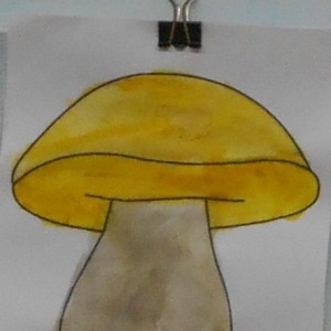 Конспект занятия по рисованию «Грибы на лесной полянке» в средней группе