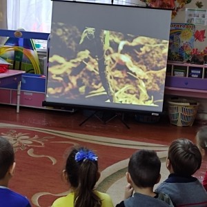 ΠΌΡ Π±Π΅Π· Π΄Π΅Π»Π° Π½Π΅ ΡΠΈΠ΄ΠΈΠΌ ΡΡΠΎ Π½ΠΈΠ±ΡΠ΄Ρ Π΄Π° ΠΌΠ°ΡΡΠ΅ΡΠΈΠΌ. Π‘ΠΌΠΎΡΡΠ΅ΡΡ ΡΠΎΡΠΎ ΠΌΡ Π±Π΅Π· Π΄Π΅Π»Π° Π½Π΅ ΡΠΈΠ΄ΠΈΠΌ ΡΡΠΎ Π½ΠΈΠ±ΡΠ΄Ρ Π΄Π° ΠΌΠ°ΡΡΠ΅ΡΠΈΠΌ. Π‘ΠΌΠΎΡΡΠ΅ΡΡ ΠΊΠ°ΡΡΠΈΠ½ΠΊΡ ΠΌΡ Π±Π΅Π· Π΄Π΅Π»Π° Π½Π΅ ΡΠΈΠ΄ΠΈΠΌ ΡΡΠΎ Π½ΠΈΠ±ΡΠ΄Ρ Π΄Π° ΠΌΠ°ΡΡΠ΅ΡΠΈΠΌ. ΠΠ°ΡΡΠΈΠ½ΠΊΠ° ΠΏΡΠΎ ΠΌΡ Π±Π΅Π· Π΄Π΅Π»Π° Π½Π΅ ΡΠΈΠ΄ΠΈΠΌ ΡΡΠΎ Π½ΠΈΠ±ΡΠ΄Ρ Π΄Π° ΠΌΠ°ΡΡΠ΅ΡΠΈΠΌ. Π€ΠΎΡΠΎ ΠΌΡ Π±Π΅Π· Π΄Π΅Π»Π° Π½Π΅ ΡΠΈΠ΄ΠΈΠΌ ΡΡΠΎ Π½ΠΈΠ±ΡΠ΄Ρ Π΄Π° ΠΌΠ°ΡΡΠ΅ΡΠΈΠΌ ΠΌΡ Π±Π΅Π· Π΄Π΅Π»Π° Π½Π΅ ΡΠΈΠ΄ΠΈΠΌ ΡΡΠΎ Π½ΠΈΠ±ΡΠ΄Ρ Π΄Π° ΠΌΠ°ΡΡΠ΅ΡΠΈΠΌ. Π‘ΠΌΠΎΡΡΠ΅ΡΡ ΡΠΎΡΠΎ ΠΌΡ Π±Π΅Π· Π΄Π΅Π»Π° Π½Π΅ ΡΠΈΠ΄ΠΈΠΌ ΡΡΠΎ Π½ΠΈΠ±ΡΠ΄Ρ Π΄Π° ΠΌΠ°ΡΡΠ΅ΡΠΈΠΌ. Π‘ΠΌΠΎΡΡΠ΅ΡΡ ΠΊΠ°ΡΡΠΈΠ½ΠΊΡ ΠΌΡ Π±Π΅Π· Π΄Π΅Π»Π° Π½Π΅ ΡΠΈΠ΄ΠΈΠΌ ΡΡΠΎ Π½ΠΈΠ±ΡΠ΄Ρ Π΄Π° ΠΌΠ°ΡΡΠ΅ΡΠΈΠΌ. ΠΠ°ΡΡΠΈΠ½ΠΊΠ° ΠΏΡΠΎ ΠΌΡ Π±Π΅Π· Π΄Π΅Π»Π° Π½Π΅ ΡΠΈΠ΄ΠΈΠΌ ΡΡΠΎ Π½ΠΈΠ±ΡΠ΄Ρ Π΄Π° ΠΌΠ°ΡΡΠ΅ΡΠΈΠΌ. Π€ΠΎΡΠΎ ΠΌΡ Π±Π΅Π· Π΄Π΅Π»Π° Π½Π΅ ΡΠΈΠ΄ΠΈΠΌ ΡΡΠΎ Π½ΠΈΠ±ΡΠ΄Ρ Π΄Π° ΠΌΠ°ΡΡΠ΅ΡΠΈΠΌ