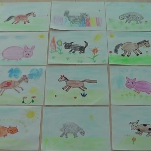 Конспект НОД по рисованию в старшей коррекционной группе «Домашние животные»