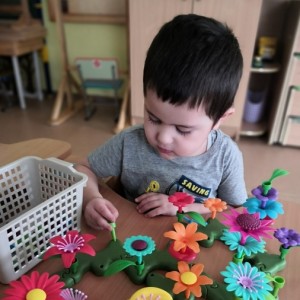 Конспект НОД по ознакомлению с окружающим миром для детей с ОВЗ «Цветы»
