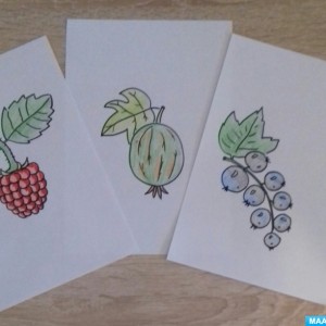 Дидактическая игра «Дорисуй и раскрась картинки» к фруктово-ягодному Дню на МAAM