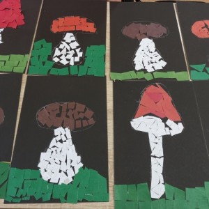 Конспект занятия по обрывной аппликации для детей подготовительной группы «Съедобные и ядовитые грибы»
