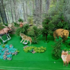 Мастер-класс по изготовлению макета «Хвойный лес и его обитатели»