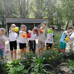 ��������� ����� ����� � ������� � ������� ��������