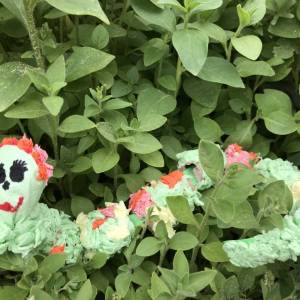 ������-����� �� ��������������� �� �������� �������� ���������