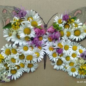 ������-����� �� ������������ ������� �� ����� ������ � ������� ���������� �������