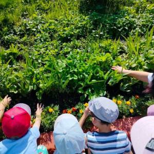 ������������ �������� ������ ����� � ������� ��� ����� 3�4 ���, ��������������� � ������� ���� �������