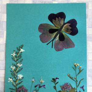 ������-����� �� ������������ ������� �� ����� ������