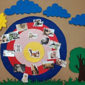 ������������� ������� ������� � ����� �� �������� ���� � �������������� ���������� ������������� ����� � ������ � ������ � ���