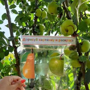 Многофункциональное дидактическое пособие «Дорисуй-ка»