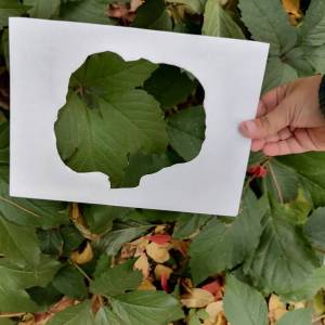 ��������� � ������������ ������ � ������������� �������� ����� ��������