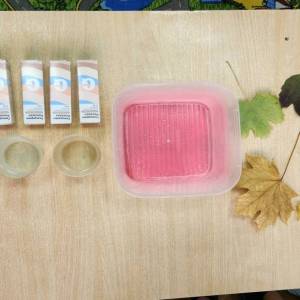 Эксперимент с осенними листьями и глицерином