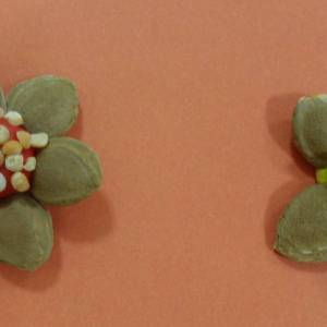 Детский мастер-класс по изготовлению поделки из природного материала и пластилина «Цветок для мамочки»