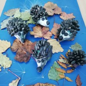 �������� ������� �� ����� ����� � ����������� ���������� ���������� � ���������� ������ �� ��� ����� �� �AAM