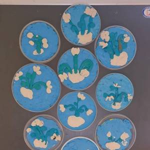 Мастер-класс по изготовлению магнита на холодильник «Подснежники» для средней группы