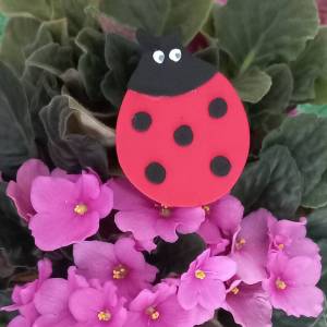 ������������������� ��������� ������� �� ��������� ������������� ����� ������� ��� �������� � �������� ����������� ��������