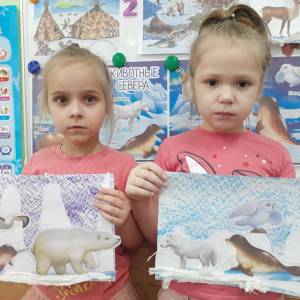 Конспект занятия по аппликации «Животные Севера» в старшей группе