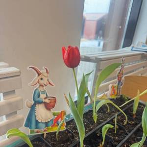 ��������� ��������� ���� � �������