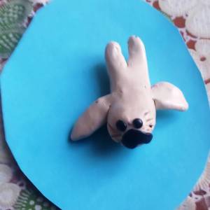 ������� ������-����� �� ����� �� ���������� ����� ��� ����� 5 ��� � �������������� ��� ������ �������