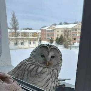 �������� ������� �� ������������ �������� �� ��������� ����������