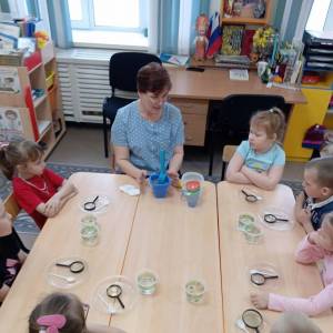 ��������� �� ������-����������������� ������������ ������ � ���������������� ������