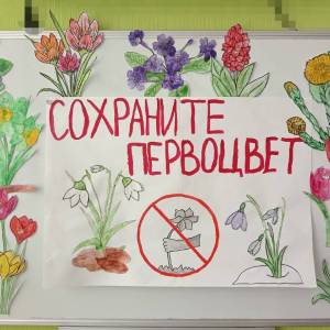 ��������� � ����������� � ���������������� ������ ����������� ����� �������-������