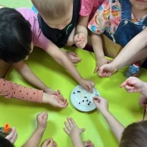 �������� ������� ��� ������ ������