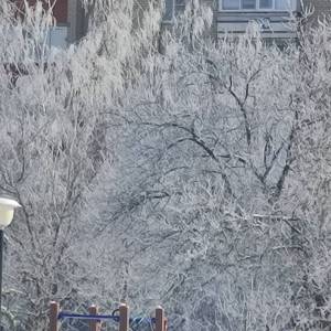 �������� �������� ����������� �� ������������ � ��������� ��� ������ � ������� ������