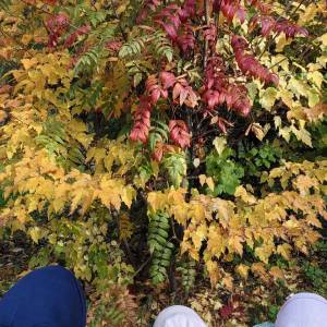 ���������� �� �������� �������� � ������ ������� ������