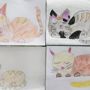 ������-����� �� ��������� �������� ���� � ���������������� ������