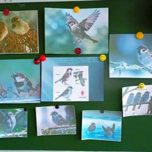 ��������� � ������������ ����������� � ��� ������� � ������� ������