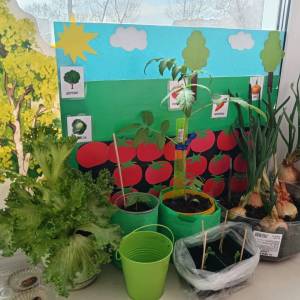 ��������� � ������� �������� � ������������� ���� ������� ������ �� ����