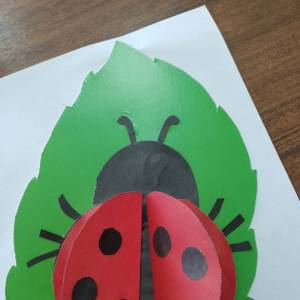 ������-����� �� ���������� ������ ������� ��� ������� ������