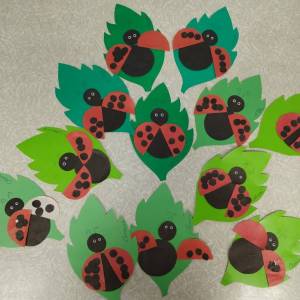 ��������� � ������� �� ���������� � ������ ������� �������� ������ ������� �� �������