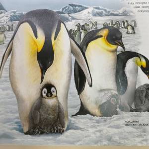 ��������� �� ��������������� ������� ����� ��������