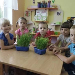 ������ ��� ������� �� �������: ���� ��� �������� ��� ����� 5�7 ���