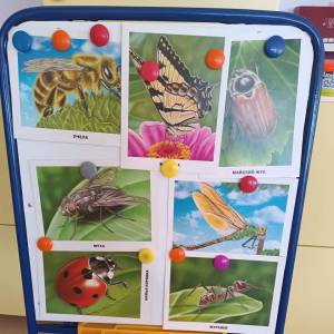 ���������. ������������ ������ ���������� � ������� ������