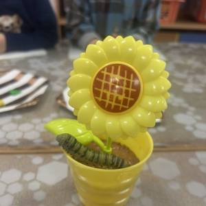�������� ������� �� ����� �� ������ ������� ������ ���������